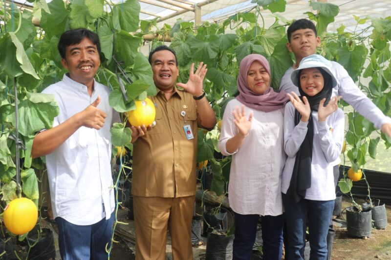 KEPINCUT: Bupati Blora Arief Rohman kepincut model perkebunan molen modern berkonsep green house di Asha Farm yang ada di Kecamatan Sambong. Harapannya, bisa ditiru dan dikembangkan di seantero Blora. 