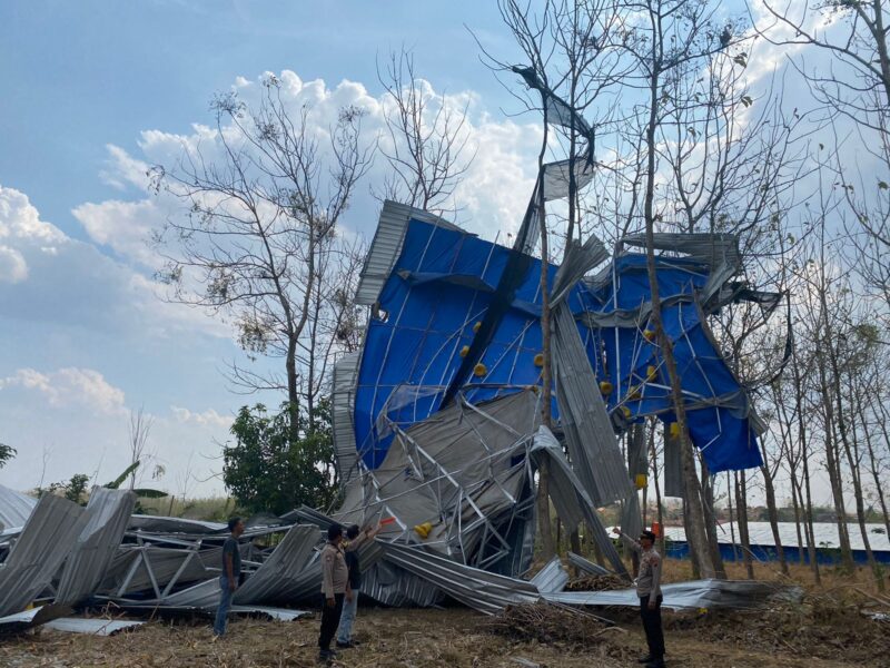 AMBRUK: Kapolsek Todanan, AKP Sulbekti saat meninjau kandang ayam di Desa Gunungan, Wilayah Todanan, Blora yang ambruk diterjang Puting Beliung, Minggu (15/10).