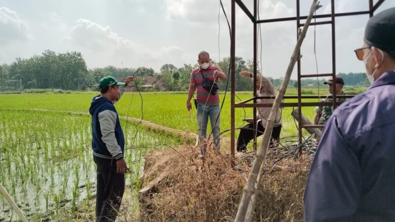 TKP: Lokasi meninggalnya Kepala Desa Gombang, Kecamatan Bogorejo, Kabupaten Blora, Jawa Tengah, Suwarjan yang meninggal dunia di sawah akibat tersengat listrik, Jumat (10/5/2024) sekitar pukul 06.00 WIB. 