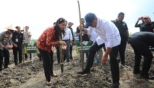 Wakil Menteri Pertanian (Wamentan), Sudaryono menargetkan Provinsi Riau menjadi daerah percontohan terbaik dalam program tumpang sari jagung dan cabai di lahan perkebunan sawit pada Senin (3/2/2025).