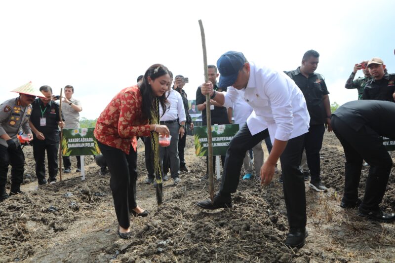 Wakil Menteri Pertanian (Wamentan), Sudaryono menargetkan Provinsi Riau menjadi daerah percontohan terbaik dalam program tumpang sari jagung dan cabai di lahan perkebunan sawit pada Senin (3/2/2025).