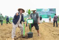 Menteri Pertanian (Mentan) Andi Amran Sulaiman bersama Menteri Kehutanan (Menhut) Raja Juli Antoni saat menggelar penanaman Agroforestri pangan secara serentak di 17 provinsi di seluruh Indonesia, 4/2/2025. 