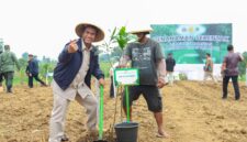 Menteri Pertanian (Mentan) Andi Amran Sulaiman bersama Menteri Kehutanan (Menhut) Raja Juli Antoni saat menggelar penanaman Agroforestri pangan secara serentak di 17 provinsi di seluruh Indonesia, 4/2/2025. 